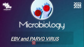 Tut 4 EBV amp Parvo virus Microbiology [upl. by Halyak]