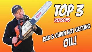 This STIHL Chainsaw Is Not Oiling The Bar amp Chain STIHL HUSQVARNA Etc [upl. by Averyl]