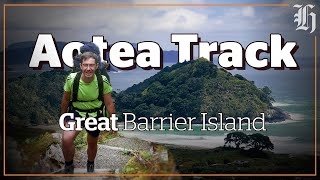 Great Barrier Island Walking the Aotea Track and DOC huts [upl. by Wasserman]