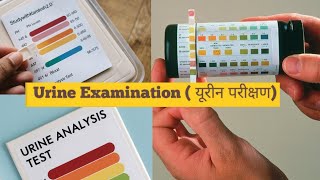 Urine ExaminationEasy explanation [upl. by Cirdek302]