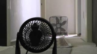 Vornado 530 compact floor fan vs Honeywell Turbo force floor fan [upl. by Erimahs67]