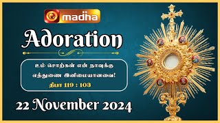 🔴 LIVE 22 November2024 Adoration 1100 AM  Madha TV [upl. by Furnary996]