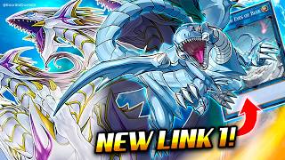 NEW BLUEEYES LINK❗ BlueEyes Deck Post Avent of BlueEyes  Exordio [upl. by Yenalem153]