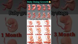 Baby growing stage by stage [upl. by Audsley]