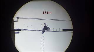 FX impact m3 25 cal 54gr slug Beloved Crows and Magpies [upl. by Adivad]