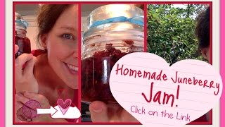 Homemade Juneberry Jam an Odd Lost Tree and a Cool Thing With a Mason Jar [upl. by Nywled]