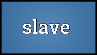 Slave Meaning [upl. by Orrocos]