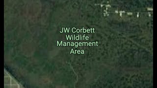 Locations Of Bigfoot Clans In JW Corbett Wildlife Management Area Palm Beach County Florida [upl. by Saile70]