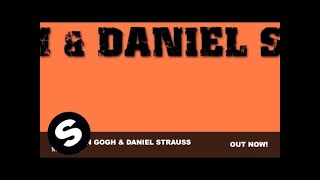 Niels van Gogh amp Daniel Strauss  MUSIC Original Mix [upl. by Giza386]