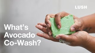 Whats The Difference Between Avocado CoWash and Shampoo [upl. by Perle]