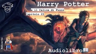 Audiolibro  Harry Potter e il calice di fuoco  Lettura e Commento Cap 25 [upl. by Lorine]