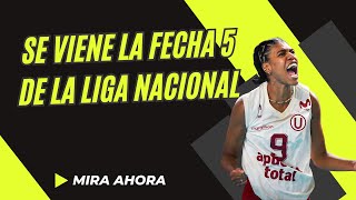 ¡SE JUEGA LA FECHA 5 DE LA LIGA NACIONAL DE VÓLEY [upl. by Nyladgam]