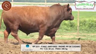 EL LUCERO  TORO PC  RP 2231 [upl. by Thelma406]