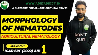 3 Morphology of Nematodes Jeevan H AIR1  ICAR JRFSRFCUETAFO All Agricultural Exams [upl. by Maribeth991]