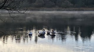 Castle Lake Bailieborough [upl. by Meghann]