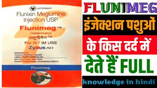 Injection Flunimeg  Injection Flunixin Meglumine  Flunixin Meglumine Injection USP Uses In Hindi [upl. by Eniluqcaj]