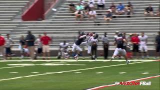 Trey Griffey Spring Football Play of the Game [upl. by Brigham]