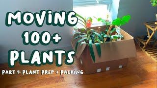 PACKING 100 HOUSEPLANTS  Moving With Plants Vlog Part 1 [upl. by Jacob]