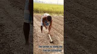 Farmer tilling the soil for cultivationAmazing World Views [upl. by Mitchael]