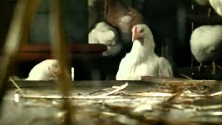 Le Gaulois Escalope Cordon Bleu Commercial [upl. by Ammadis]