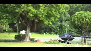 FQ777Modelscom FX070C 2 4G 4CH 6 Axis Gyro Flybarless MD500 Scale RC Helicopter [upl. by Eceinej]