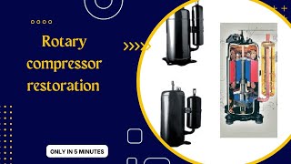 rotary compressor restoration  rotary compressor repair [upl. by Trah]