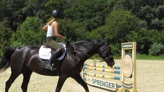 Azubi Lea bei den letzten Springübungen vor ihrer Abschlußprüfung  Ingrid Klimke offenes Training [upl. by Lindon]