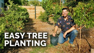 How to Plant Fruit Trees The Complete Guide [upl. by Noiemad]