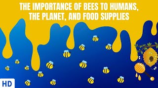 The Importance of Bees To Humans The Planet And Food Supplies [upl. by Odnarb]