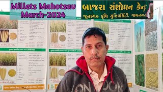 Bajara Sanshodhan Kendra  મિલેટ મહોત્સવમાર્ચ 2024 જામનગર Millets Mahotsav March 2024 [upl. by Mayeda]