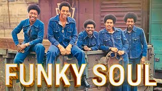 FUNKY SOUL  The Trammps  Kool amp The Gang Cheryl Lynn Disco Lady  70s 80s Disco Party Mix [upl. by Lonny]