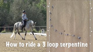 The 3 Loop Serpentine Basic Dressage Moves [upl. by Jojo]