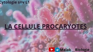 Cytologie  chapitre 1 quotcellule procaryotesquot 👉partie 2 [upl. by Zeena685]