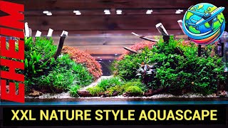 Nature Style Aquascape [upl. by Eeb]