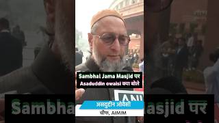 Sambhal Stone Pelting संभल हिंसा पर भड़के Asaduddin Owaisi news shorts [upl. by Robinette412]