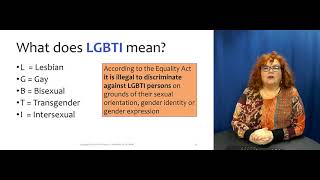 Lesson 11 Human Rights part 3 LGBTI rights in Finland Finnish Political Culture and System [upl. by Amarillis]