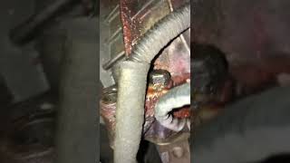 Audi a4 b7 coolant leak [upl. by Malanie754]