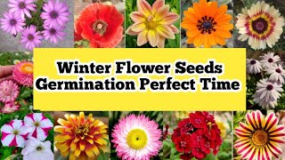 Winter Flower Seeds Germination Perfect Time  सर्दियों के फूलों के बीज लगाने का सही समय जानिए [upl. by Elimay]