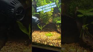 Hygger Wavemaker HG021 in a 75 Gallon Planted Aquarium freshwatertank aquarium [upl. by Ynnij]