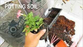 Creating Soil Mix for Containers Gardening [upl. by Odlanra]