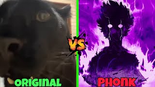 Panther Song Original Vs Phonk [upl. by Isewk675]