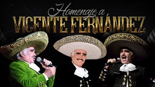 🔥 MIX VICENTE FERNANDEZ 🔥 CORRIDOS DE CABALLOS 🏇 🐎 🐴 30 EXITOS MEJORES CANCIONES MIX 🔥 [upl. by Hansen]