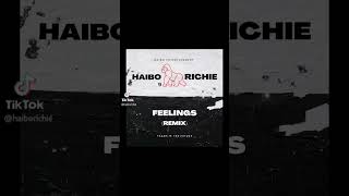 haibo richie x feelings remix 2024 [upl. by Taft206]