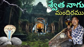 HAUNTED SWETHA NAGU  RAJPURAM VILLAGE [upl. by Able261]