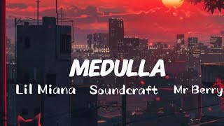 MEDULLA Lyrics  Lil Maina ft Soundcraft amp Mr Berry LYRICS [upl. by Asilaj]