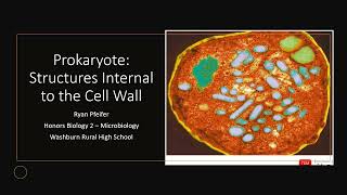 Prokaryote  Structures Internal to the Cell Wall [upl. by Ewens]