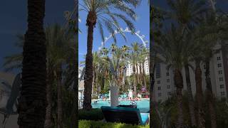 Pool Day at The Flamingo Las Vegas lasvegas flamingo [upl. by Nauqel721]