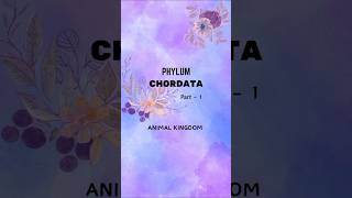 quotPhylum CHORDATAquot Part1 ⚡ Animal Kingdom neet biology animalkingdomclass11 [upl. by Moynahan]