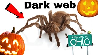 Am cumpărat o TARANTULA din OHIO de pe INTERNETUL ASCUNS [upl. by Notsirhc]