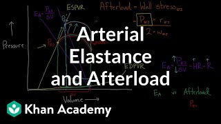 Arterial elastance Ea and afterload  Circulatory system physiology  NCLEXRN  Khan Academy [upl. by Lordan]